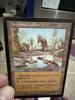 MTG Yavimaya Hollow Urza's Destiny 143/144 Regular Rare - Image 1