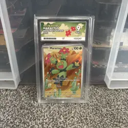 Maractus 093/086 Illustration Rare - English Black Bolt Pokemon TCG - ACE 9 Mint - Image 1