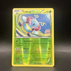 Volbeat Reverse Holo Common XY - Primal Clash 17/160 Pokemon - Image 1