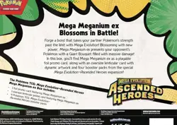 Pokemon TCG Mega Meganium ex Box - Ascended Heroes | Factory Sealed! - Image 3