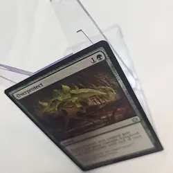 Overprotect MTG BLB NM Near Mint Non Foil Bloomburrow Fast Shipping From Canada - Image 3