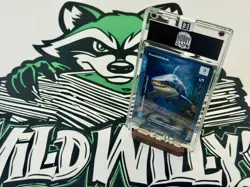Wonders of the First WoTF CoTS Knotshell Shark 350/402 - OCM C Wonder #74/99 - Image 3