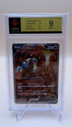 Pokemon | Entei V | 213/172 | VSTAR Universe | SAR Secret Rare | JP | RGS 9 - Image 1