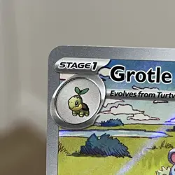 Grotle 164/162 Temporal Forces Illustration Rare Holo Pokemon TCG Card NM - Image 2