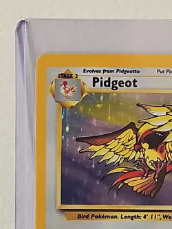 Pidgeot - 8/64 - Jungle Unlimited 1999 - WOTC - Holo Rare - MP - Pokemon TCG - Image 3