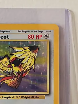 Pidgeot - 8/64 - Jungle Unlimited 1999 - WOTC - Holo Rare - MP - Pokemon TCG - Image 4
