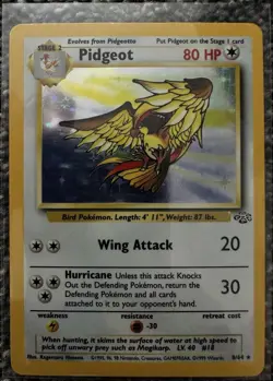 Pokemon TCG Pidgeot 8/64 Jungle Unlimited Holo Rare English 80 HP 1999 - Image 1