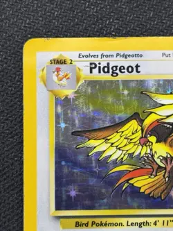 Pokemon TCG Pidgeot Jungle Holo Card 8/64 Unlimited Rare - Image 2