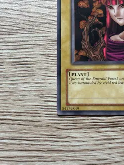 Queen of the Autumn Leaves TP2-024 Tournament Pack 2 LP Yu-Gi-Oh! TP2-024 - Image 5