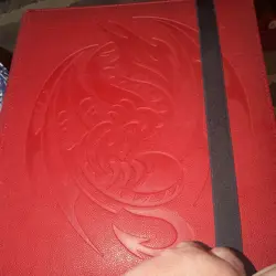 Magic: The Gathering mixed card lot in binder only less 1/2 pictured - Image 1