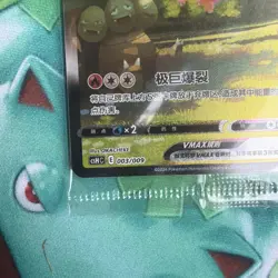 Pokemon Flareon VMAX HR CSHC 003/009 Promo Chinese sealed eeveelution - Image 5