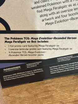Pokemon TCG - Ascended Heroes - Mega Feraligatr Ex Box - In Hand - Sealed New - Image 5