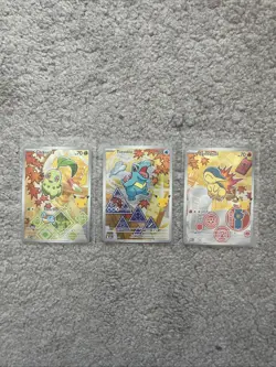 Pokemon First Partner Series 2 - Johto Starter Set Chikorita Cyndaquil Totodile - Image 1