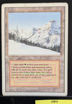 MTG, Taiga, Revised Edition, Regular, (COPY #2 of 4) - Image 2