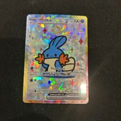 Pokemon Mudkip Special Doujin Art Starry Holo Card - Image 1