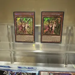 Yugioh Dark Magician Girl The Magician’s Apprentice Secret Rare ALIN-EN004 - Image 1
