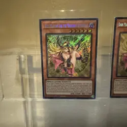Yugioh Dark Magician Girl The Magician’s Apprentice Secret Rare ALIN-EN004 - Image 3