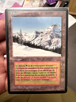 Magic MTG - Taiga - 3eme Ed. BN - Exc/Nmint - FR - Image 1