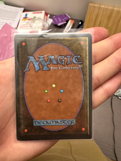 Magic MTG - Taiga - 3eme Ed. BN - Exc/Nmint - FR - Image 2