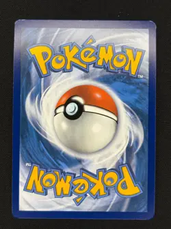 Bibarel GG25/GG70 Holo Crown Zenith Galarian Gallery Pokemon NM - Image 2