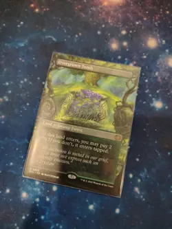 Overgrown Tomb (Borderless) Lorwyn Eclipsed Regular - Image 1