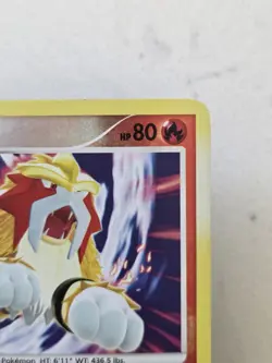 Entei 4/132 Diamond & Pearl Secret Wonders REVERSE Holo 2007 Pokemon - Image 5