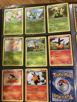 Pokemon Black & White Incomplete Set Inside Portfolio Reverse Holos, Cards - Image 3