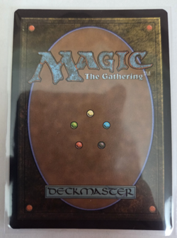 MTG, Blazemire Verge Duskmourn: House of Horror Foil NM - Image 2