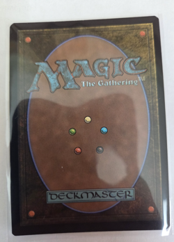 MTG, Blazemire Verge Duskmourn: House of Horror Foil NM - Image 4