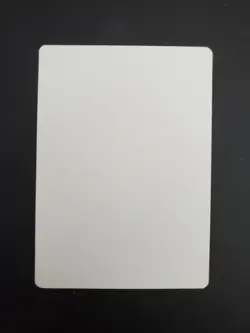 Mtg Italian Savanah AP Artist Proof Unsigned Limited To 50 Dual Land - Image 2