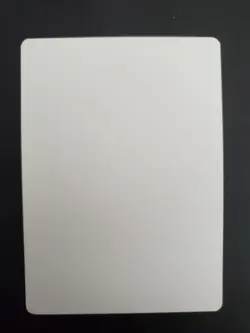 Mtg Italian Taiga Ap Artist Proof Unsigned Limited To 50 Dual Land - Image 2