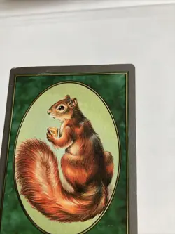 Squirrel Token Unglued MTG HP - Image 3