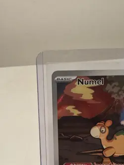 Numel 223/217 - Pokemon TCG: Ascended Heroes - Illustration Rare Holo NM - Image 2