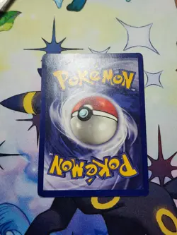 Dragonite - 5 - Pokemon Wizards Black Star Promo Card (WB) HP - Image 2