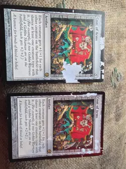 Coat of Arms x2 exodus Mtg Damaged (See Pics) - Image 1