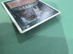 Magic The Gathering (MTG) - Sylvan Library (4th Edition/Green) - Image 5