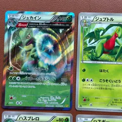 Pokemon TCG Japanese cards 2014 Lot 9 Sceptile 006/070 Rare 1st edition P604 - Image 2