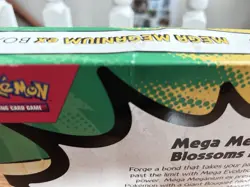 Pokemon Ascended Heroes ME2.5 -Set of 3- Mega ex Boxes - Image 5