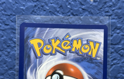 Pokemon TCG - S&V - White Flare - Oshawott 105/086 - Illustration Rare - NM - Image 5