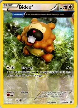 Bidoof Primal Clash 117/160 Uncommon Pokemon Near Mint - Image 1