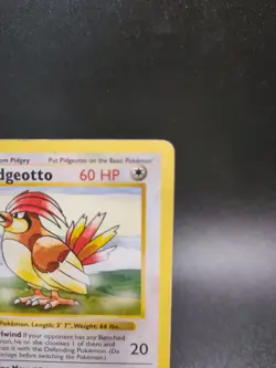 Pidgeotto 22/102 1st Edition Base Set Shadowless Pokemon Card WOTC - Image 3