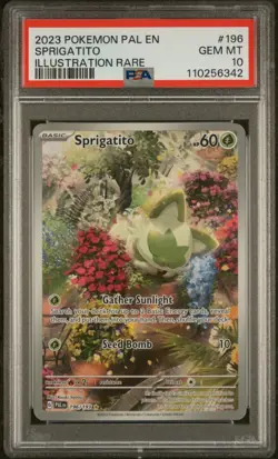 2023 POKEMON PAL EN-PALDEA EVOLVED ILLUSTRATION RARE #196 SPRIGATITO PSA 10 - Image 3
