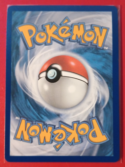 Pokemon TCG Froakie 088/086 Chaos Rising Full Art Illustration Rare NM 2026 - Image 4