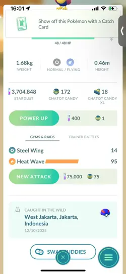 Pokemon Go Shiny Chatot - Image 2