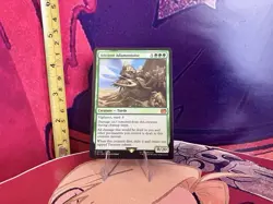 Magic The Gathering Ancient Adamantoise TCG MTG Collectable Trading Card - Image 1