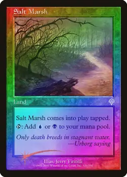 Salt Marsh FOIL Invasion PLD Land Uncommon MAGIC THE GATHERING CARD ABUGames - Image 1
