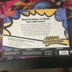 Pokemon Ascended Mega Feraligatr Box - Image 4