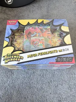 Pokemon TCG: Mega Evolution Ascended Heroes - Mega Feraligatr ex Box - Image 1
