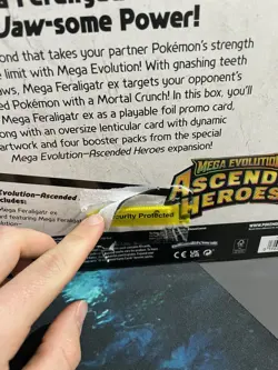 Pokemon TCG Mega Evolution Ascended Heroes - Mega Feraligatr ex Box - Image 4