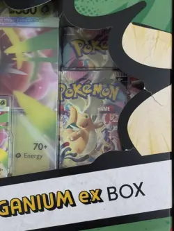 Pokemon TCG Ascended Heroes Mega Feraligatr Meganium Emboar Ex Box - 2/3 Damaged - Image 3